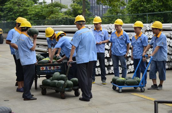 67381����-��Ϸ�ٷ���վ