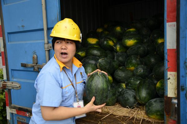 67381����-��Ϸ�ٷ���վ