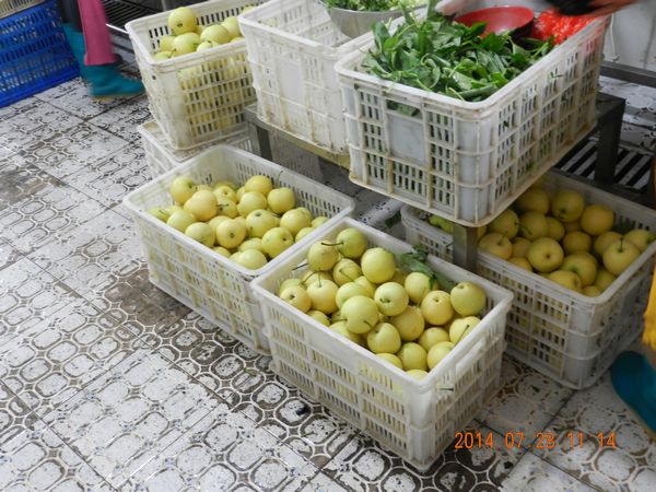 67381����-��Ϸ�ٷ���վ