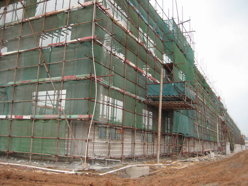 ���궥����Ϸ���67381��ʤ��,�³�����ϲ����