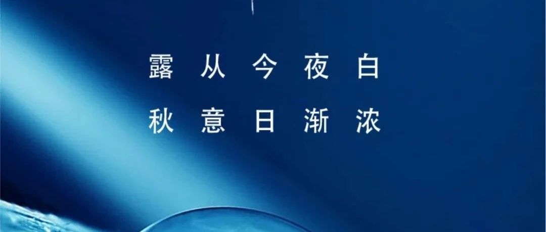 ��¶ | ¶�ӽ�ҹ��  �����ս�Ũ��