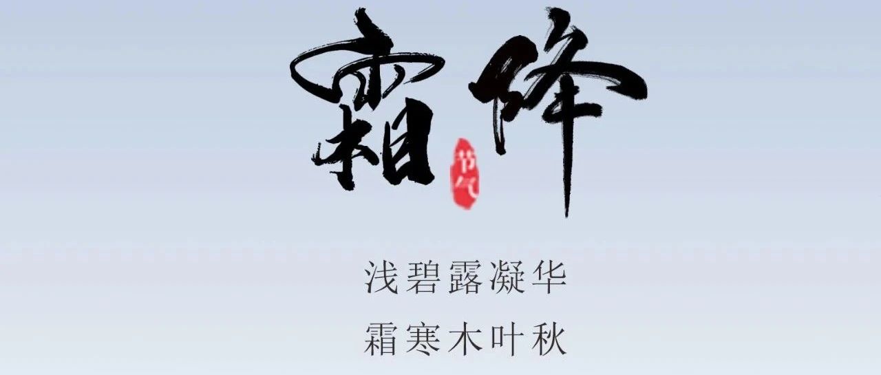 ˪�� | ����������ɫ��  ˪Ⱦ֦ͷ����