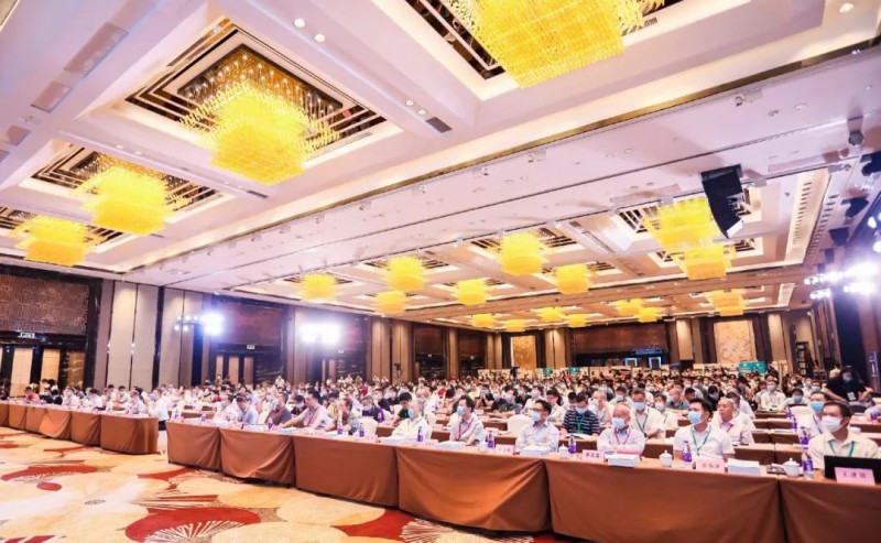 2020���й����ӹ���ҵ��ȴ����ΰ��³��Ρ�����ѹ����̳��ϯ��