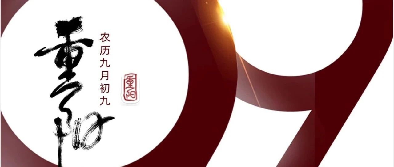 ���� | �������������������������԰�����