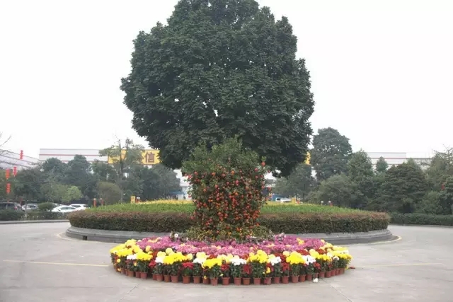 67381����-��Ϸ�ٷ���վ