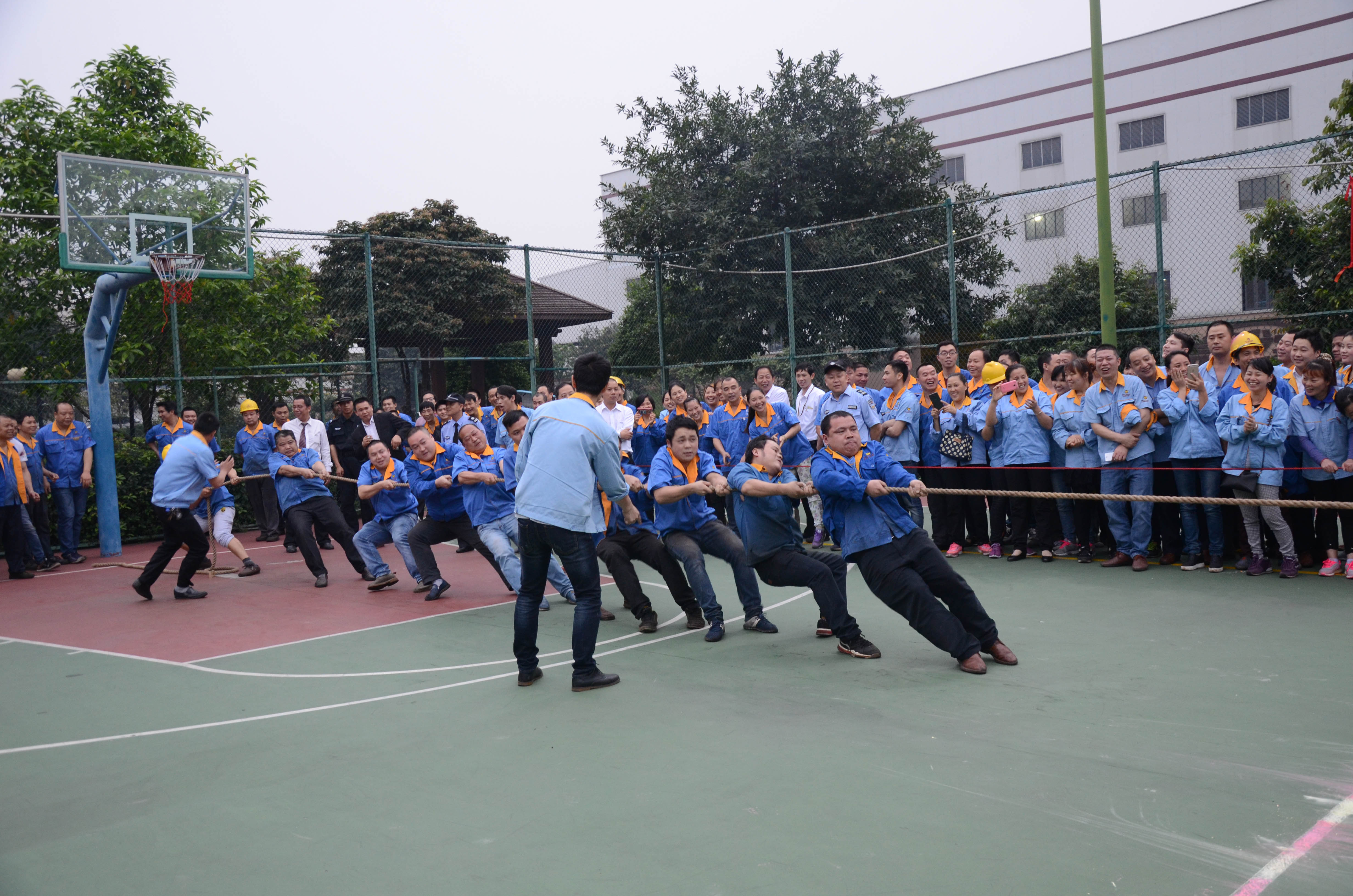 67381����-��Ϸ�ٷ���վ