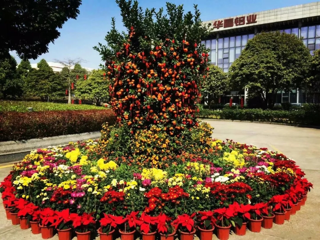 67381����-��Ϸ�ٷ���վ