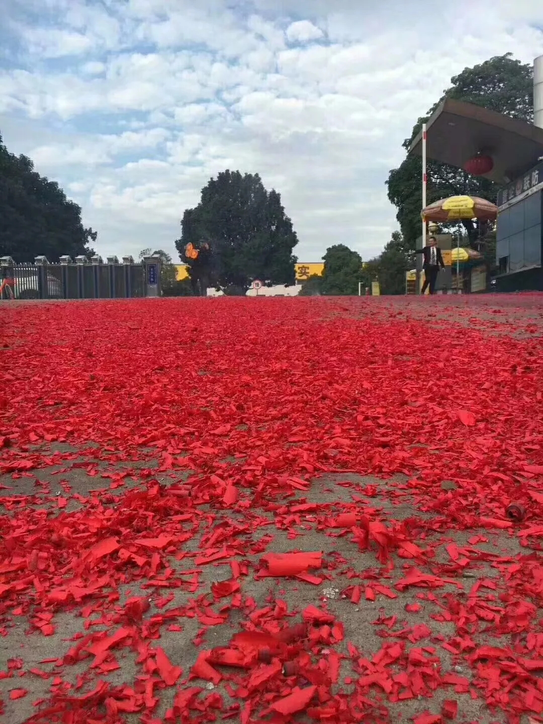 67381����-��Ϸ�ٷ���վ