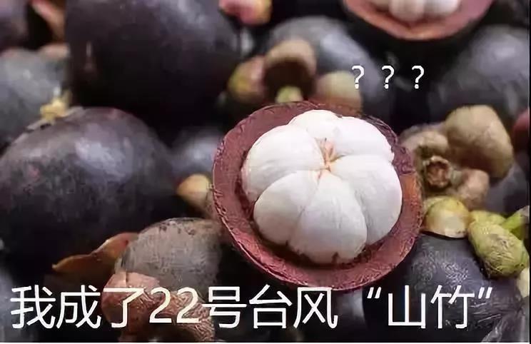 67381����-��Ϸ�ٷ���վ