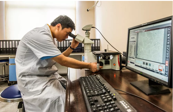 67381����-��Ϸ�ٷ���վ